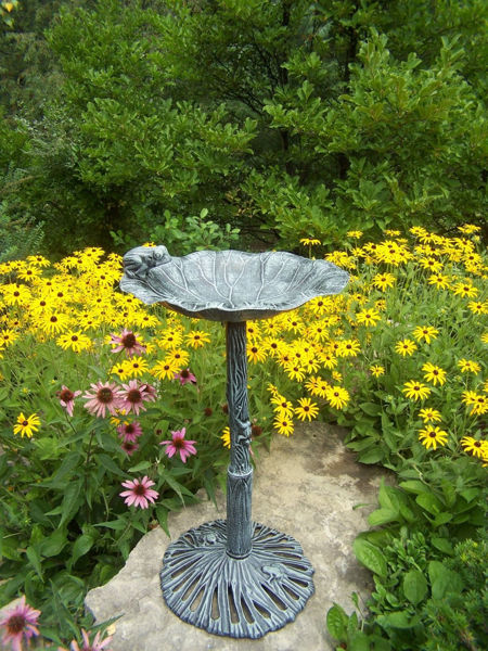 Picture of Frog Bird Bath - Verdi Grey